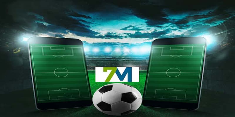 7m Giới thiệu tổng quan về 7m